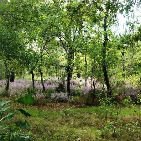 Ferienhaus Maison Abelia *