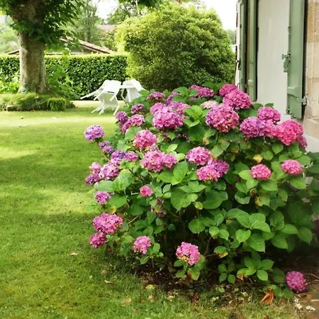 Maison Abelia Ferienhaus Pissos