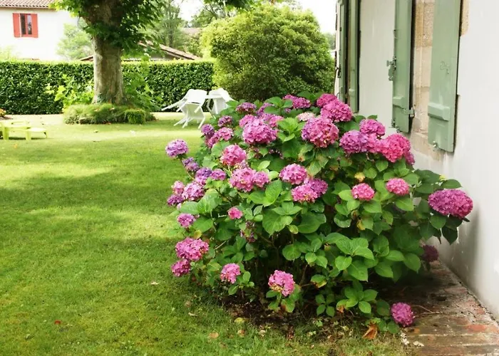 Maison Abelia بيت للعطل Pissos